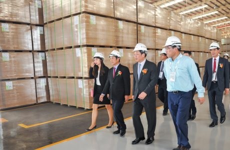 Công suất chế biến gỗ MDF tăng mạnh